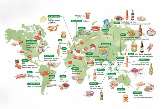 Food rich in umami, around the world and across history 