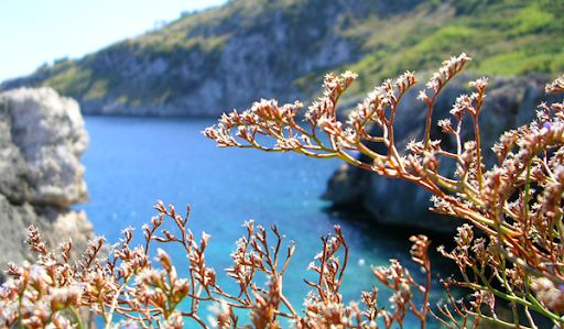 Il mare di Marina Serra
