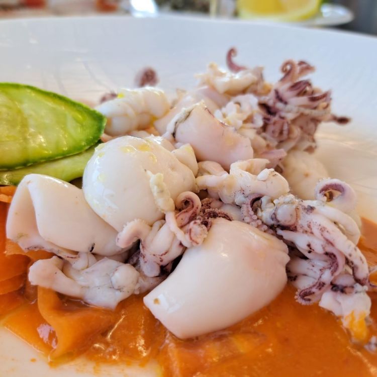 Vaporata di mare (calamaro, scampo, sparnocchio, sogliola), cremoso di pomodoro e verdure di stagione marinate