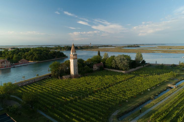 La Tenuta di Venissa vista dal drone. A Mazzorbo ci si arriva in traghetto da Cavallino/Treporti o da Venezia/Fondamenta Nove oppure privatamente, contattando la struttura. La stagione presente chiude alla Befana 2024
