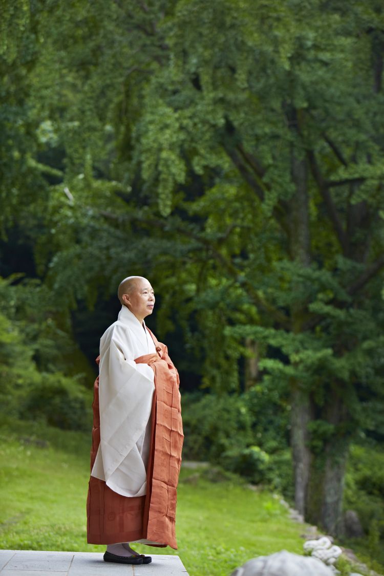 Jeong Kwan in uno scatto a cura di Cultural Corps of Korean Buddhism
