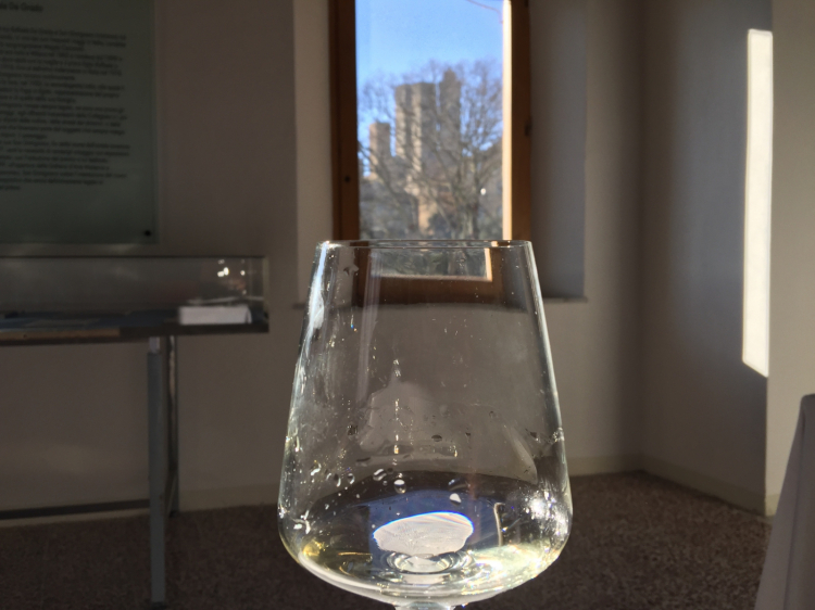 Buon livello dei vini, qualche dubbio sull'effettivo utilizzo in purezza del vitigno Vernaccia di San Gimignano