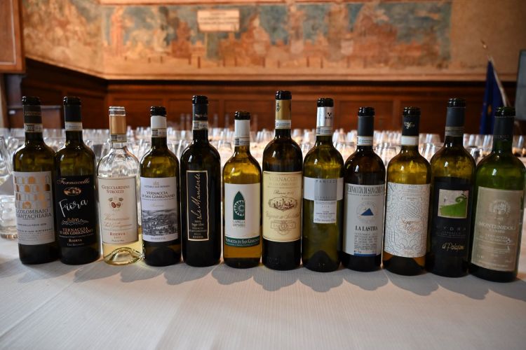 I 12 vini presentati in degustazione
