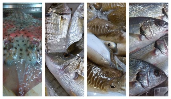 Vero pescato versiliese: razza, mormore, seppie, ombrine (foto Simona Fantoni)

