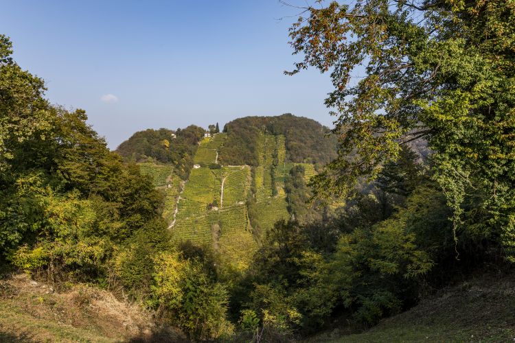 Continua il viaggio nell'area del Conegliano V