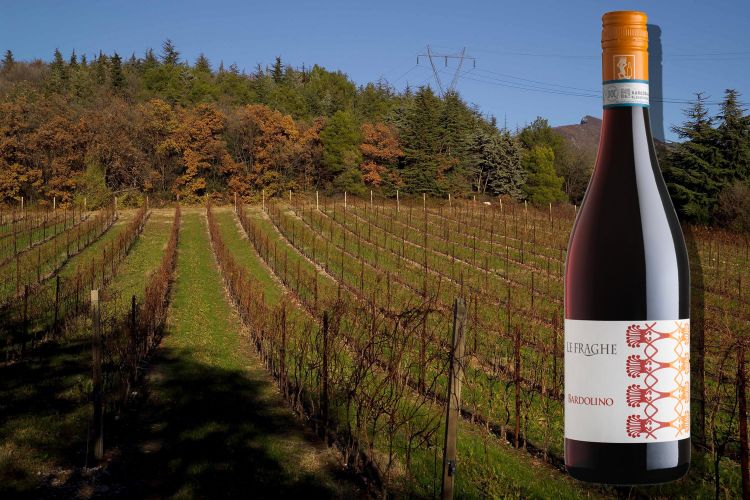 Il Bardolino Le Fraghe e, sullo sfondo, uno dei vigneti dell'azienda