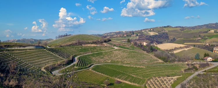 I vigneti della G. D. Vajra