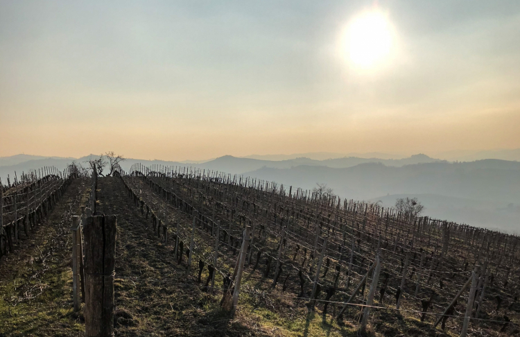 Un affascinante paesaggio: siamo sulle colline del