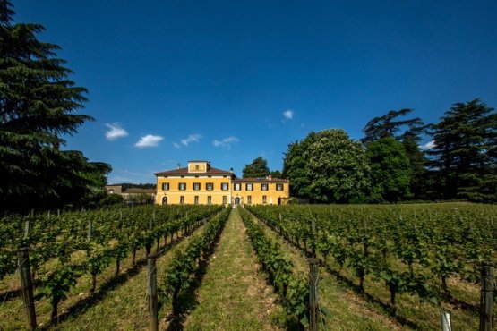 Siamo nel cuore della Franciacorta, a Camignone: q