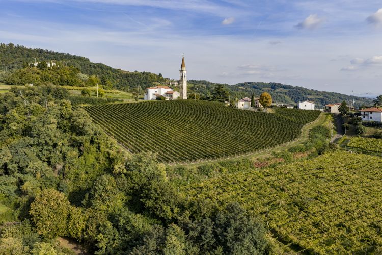 Il vigneto sul Monte Calvarina, sulle colline vulcaniche del Soave
