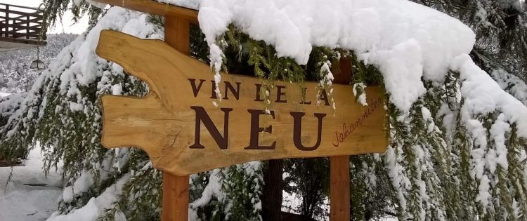 Vin de la Neu nasce in Val di Non, in Trentino, da
