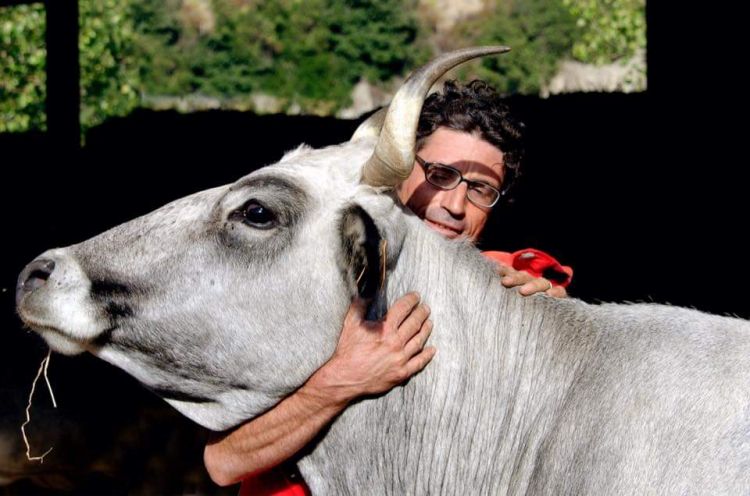 L'allevatore Vincenzo Brunetti con uno dei suoi animali: uomo e bestiame qui vivono in perfetta simbiosi
