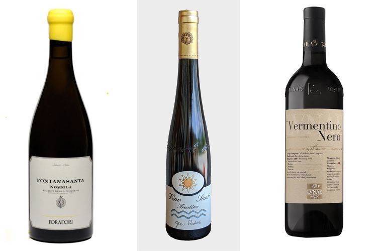 Fontanasanta Nosiola&nbsp;di&nbsp;Foradori,Vino Santo Trentino di&nbsp;Gino Pedrotti&nbsp;e&nbsp;Vermentino Nero&nbsp;di&nbsp;Lunae
