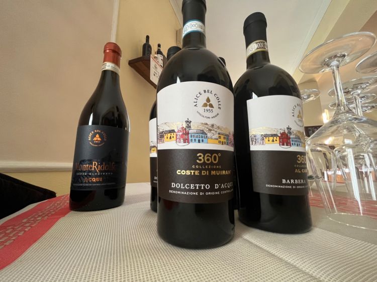 I vini della cantina Alice Bel Colle
