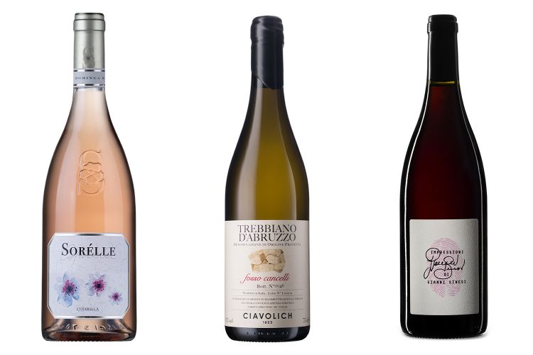 Sor&egrave;lle di Famiglia Cotarella,&nbsp;Fosso Cancelli Trebbiano d&rsquo;Abruzzo&nbsp;di&nbsp;Ciavolich&nbsp;e Impressioni di&nbsp;Gianni Sinesi
