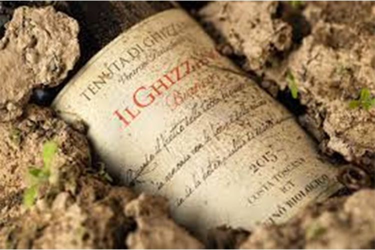 Ghizzano Bianco della cantina Tenuta di Ghizzano
