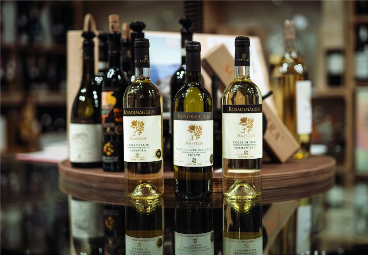 I vini della linea Ampelos sui Colli di Luni
