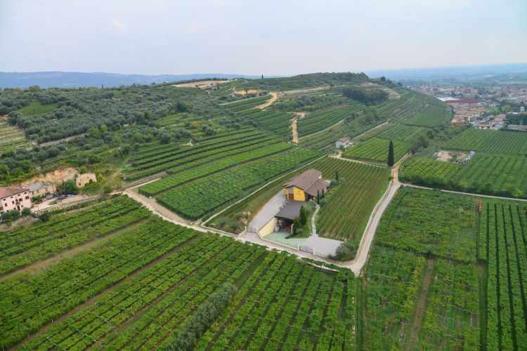 La Venturini si trova a San Pietro in Cariano, nel