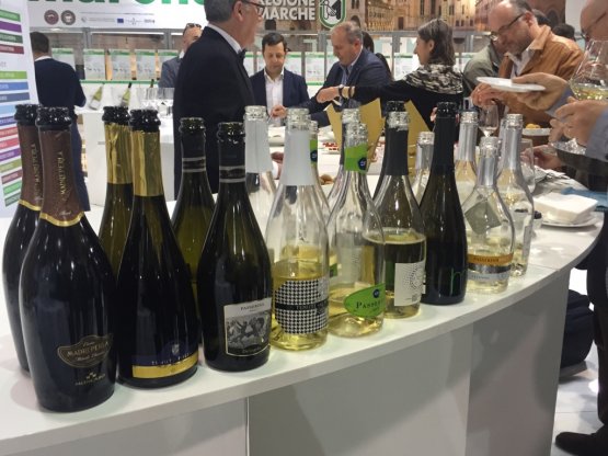 Le bottiglie del Consorzio dei Vini Piceni in degustazione al Vinitaly
