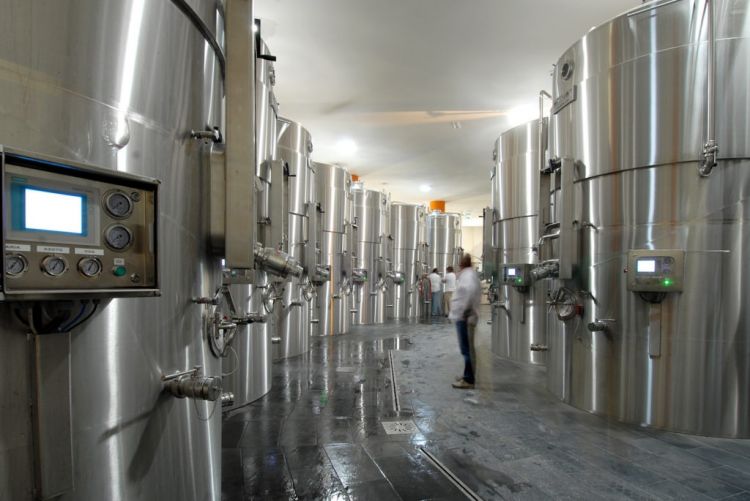 I moderni vinificatori
