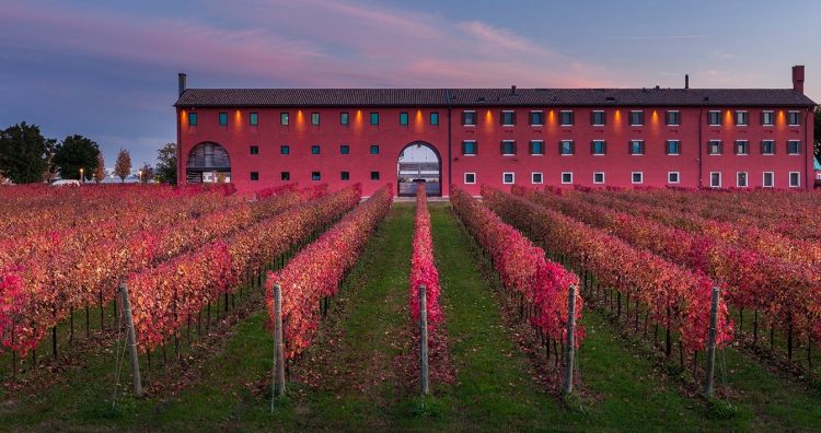 Esordio al Congresso per Vigneti Le Monde: qui uno scorcio di cantina e vigneti in Friuli