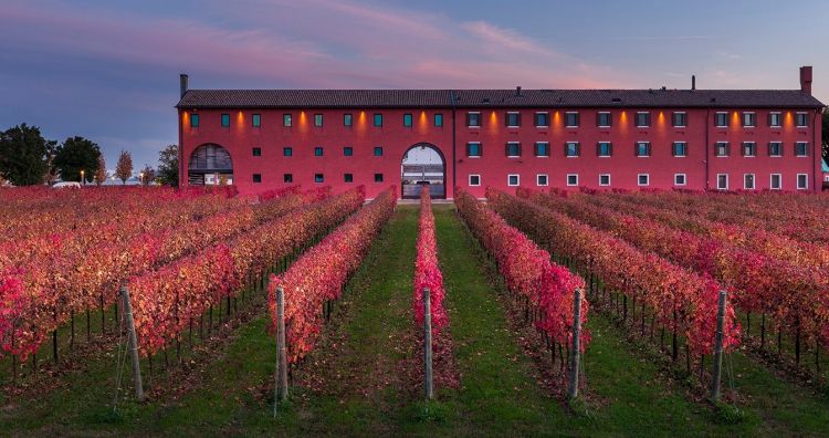 Esordio al Congresso per Vigneti Le Monde: qui uno scorcio di cantina e vigneti in Friuli
