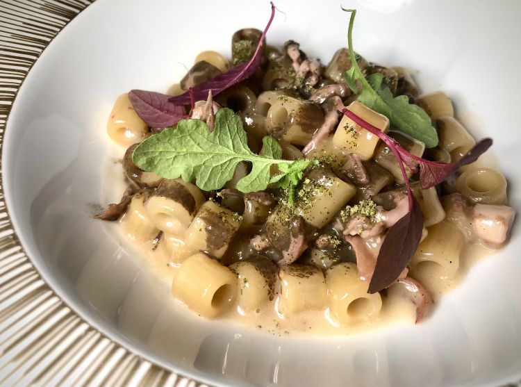 Tubetti, Luppola Flora e Totanetti

Una pasta corta, i tubetti, per meglio raccogliere gli umori amaricanti della birra (locale, prodotta dallo chef assieme a un gruppo di amici) nella quale la pasta è mantecata, ma anche nettamente aromatici perché la Luppola è inebriata dall’infusione di erbe aromatiche del Mediterraneo - rosmarino e salvia per la maggiore; i calamaretti spillo sono una tenera aggiunta, nel pieno della loro stagionalità e le loro interiora, tutto ciò che avanza, diventano sostanza e potenza del piatto regalando un finale lungo tendente, ancora, a un amaro salmastro. Un’intrigante interpretazione del no-waste.
