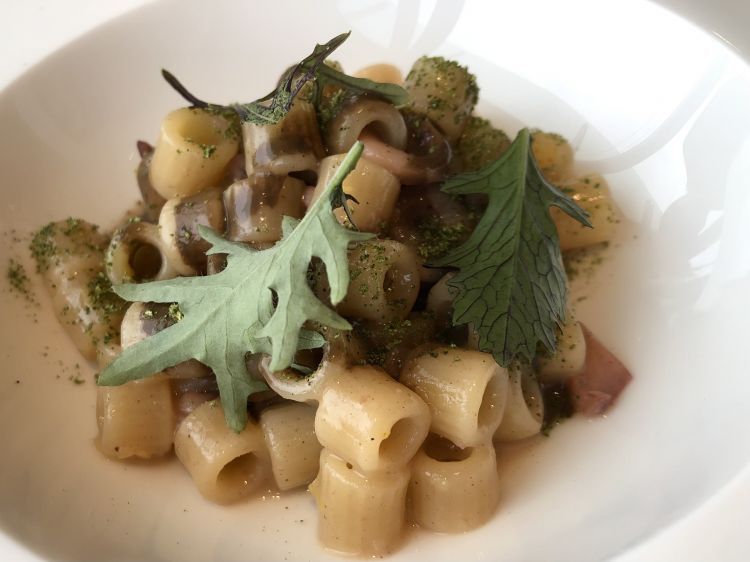 Tubetti, Luppola Flora e totanetti (Foto di Marialuisa Iannuzzi)