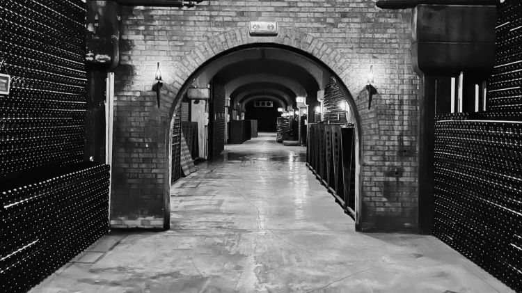 La cantina di Villa Franciacorta