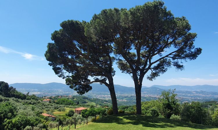 La vista dall'azienda Terenzuola
