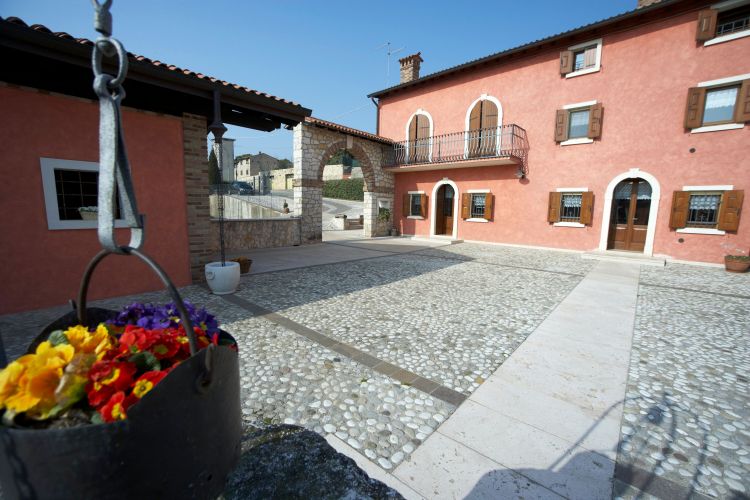 Un'immagine della cantina