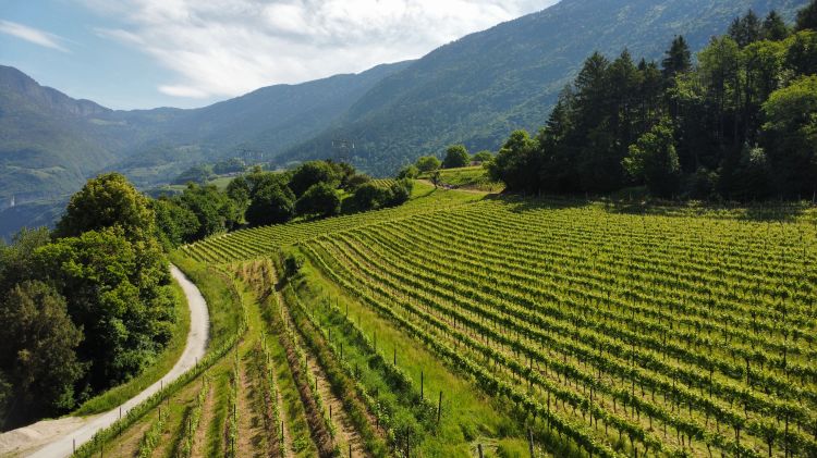 L'idea è di valorizzare il terroir