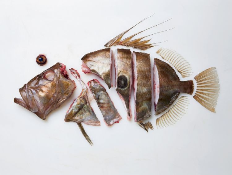A photo from The Whole Fish Cookbook, the book fr