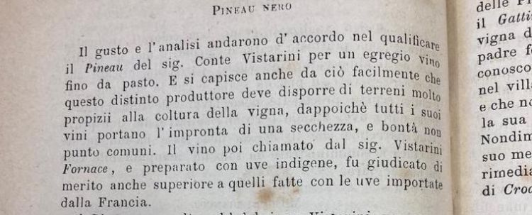 L'estratto del documento storico dove si parle del "Pineau" del "Conte Vistarini"
