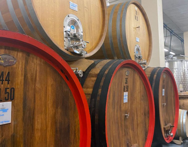 Uno scorcio delle botti di affinamento