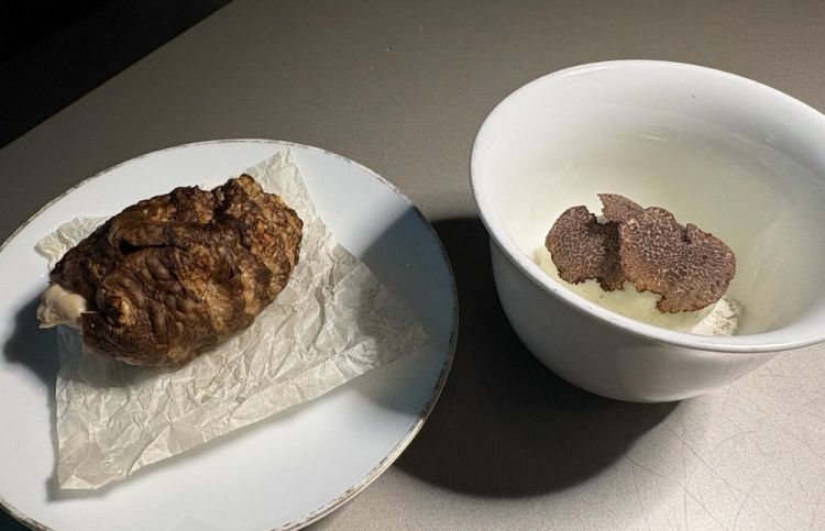 Topinambur, nocciola e tartufo nero
&laquo;Un gelato fatto con la polpa cotta del topinambur, fior di latte e mentuccia: un binomio che richiama il carciofo alla romana, che viene completato con lamelle di tartufo nero. Le bucce del topinambur vengono disidratate, fritte e farcite con una bavarese e un caramello alle nocciole della Tuscia, come un cannolo da mangiare insieme al gelato. &Egrave; un dolce morbido, goloso, confortevole: non vive di spigolosit&agrave;. Un po' come il Mont Blanc, come il tiramis&ugrave;: ti fa stare bene e basta&raquo;
