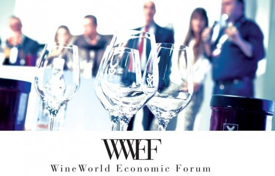 One of this edition’s appointments is the Merano WineWorld Economic Forum, a whole day dedicated to the sustainability in the wine world 
