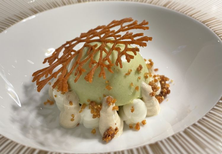 Bavarian cream with avocado, liquorice, yogurt, crunchy dried fruit