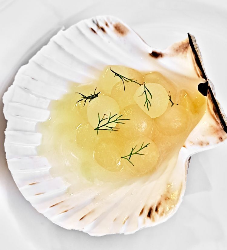 Sea and Melon, scallops marinated in salt, white melon and fennel, flavored with chilli oil