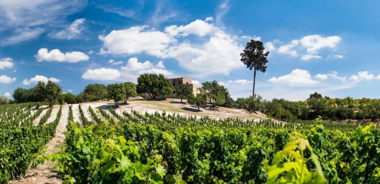 La tenuta era abbandonata