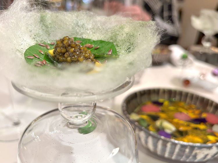 Candied plankton sugar, oyster leaf, curry marinière sauce, Daurenki caviar