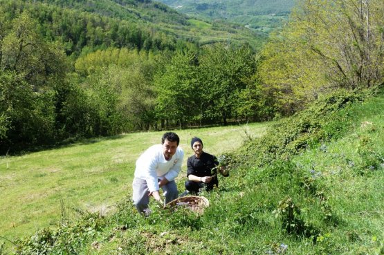 I giovani chef dello Zunica 1880 raccolgono le erbe spontanee