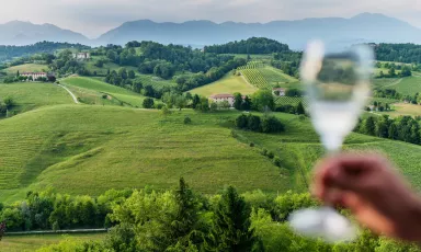 Le colline del&nbsp;Conegliano Vald
