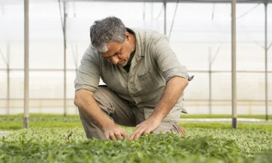 Angelo Giordano, agronomo e seedkee