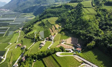 I vigneti di Von Blumen si trovano 